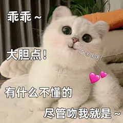 表情包撩对象超心动的甜甜小猫_06