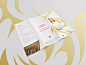 金三角地区（龙美集团）招商三折页-上海眸社设计_上海专业的VI设计,宣传册设计,画册设计,折页设计公司