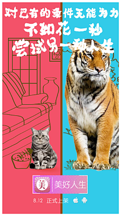AssssSyj采集到创意