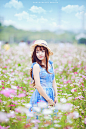  花海中的美女。