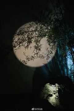 月影图片大全-月影高清好看的图片--花瓣子木火火的画板