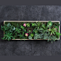 高仿真多肉植物画框组合套装会所餐厅酒店墙面软装玄关背景绿植墙-淘宝网