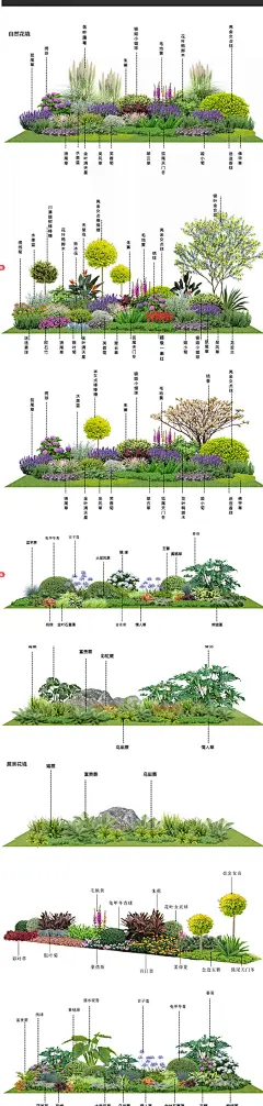2025花境植物组团PSD分层素材花境设计搭配组团PS素材-带植物名称-花瓣网