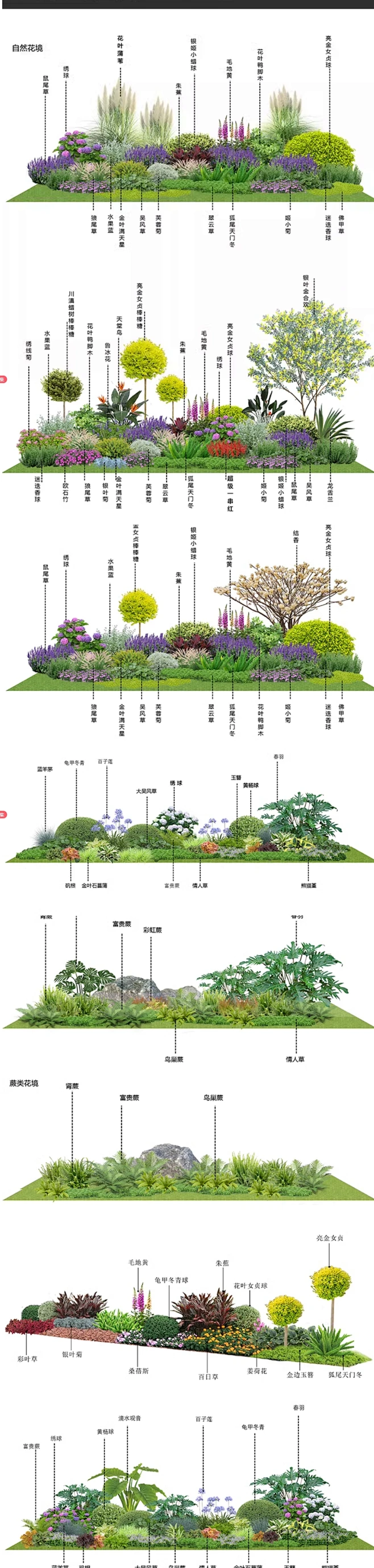2025花境植物组团PSD分层素材花境设计搭配组团PS素材-带植物名称-花瓣网