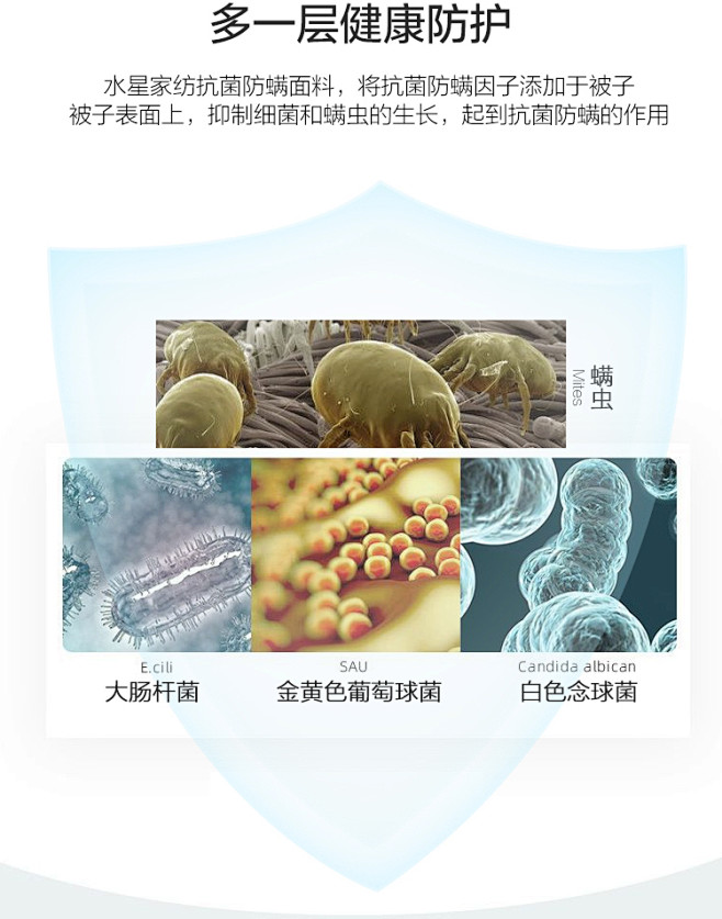 水星家纺暖芙全棉抗菌防螨新疆棉花春秋被单...