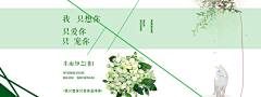 虹姬采集到素锦封