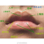 嘴巴、眉弓和眉毛结合头骨师承来分析一波 via @杭州素描刘彪 ​​​​