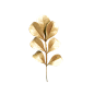 金叶子2