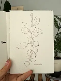 这…也太简单了吧 - 小红书