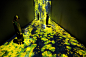 TOMORROW IS THE QUESTION | teamLab : 2019.4.06(Sat) - 8.04(Sun) ARoS Aarhus Art Museum, Aarhus