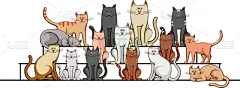 动物群,猫,台阶,动物家庭,哺乳纲,猫科动物,手,动物,尾巴,欢乐