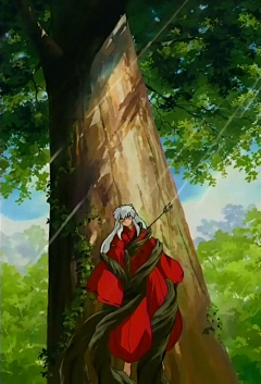 我与风久居为伴＊采集到动漫