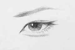 古风眼 1.丹凤眼 2.瑞凤眼 3.杏眼 4.柳叶眼 5.桃花眼 你喜欢哪一种？ #古风的那些事儿#