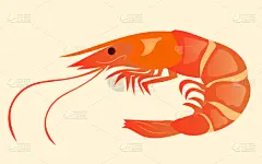 食品,分离着色,虾,多汁的,商务,菜单,清新,成分,餐馆,动物