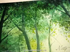 【米蒂风景水彩】 森林幻影，无边的绿海，涤荡着心灵的回声，寂寞的精灵，在她悠闲喘息里进入梦萦，薄雾的夜里悄然无声，那高耸的苍松是她的眼睛，遥望着那轮银月跳出晴空，寂静的海不露一丝息声，安宁就那么淡然的融进梦中！#米蒂风景水彩# #水彩风景# #手绘水彩# ​​​​