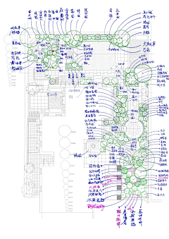 刘小二的2采集到私家庭院植物