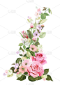 一束玫瑰，春暖花开。垂直的边，红色，淡紫色，粉红色的花，花蕾，绿色的叶子在白色的背景。数字绘制插图水