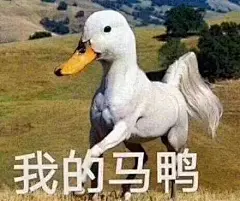 #鸭鸭表情包# 门前大桥下，游过一群鸭！快来快数一数，到底多少鸭！ ​