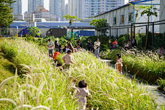 H-种植设计采集到城市街景