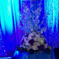 蓝色婚礼照片-蓝色婚礼图片-蓝色婚礼素材