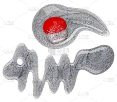 银色指甲油(搪瓷)混合滴样，分离