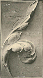 “阿堪萨斯”（acanthus）的花纹，在西方装饰艺术中常常用到一个图案，带着叶片的形状，卷曲而柔美的线条，至今仍是众多艺术家的宠儿。 ​​​​