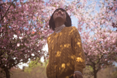 mourning采集到花丛绿园