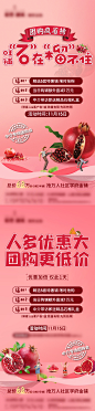 地产石榴活动单图