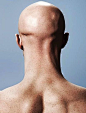 Bald man's head, rear view