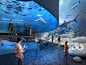Yeosu Marine Animal Hall / 2013년 여수해양동물전시관 : 최토끼 Museum Designer & Exhibition Director