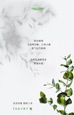 CHA耳耳采集到长图文排版