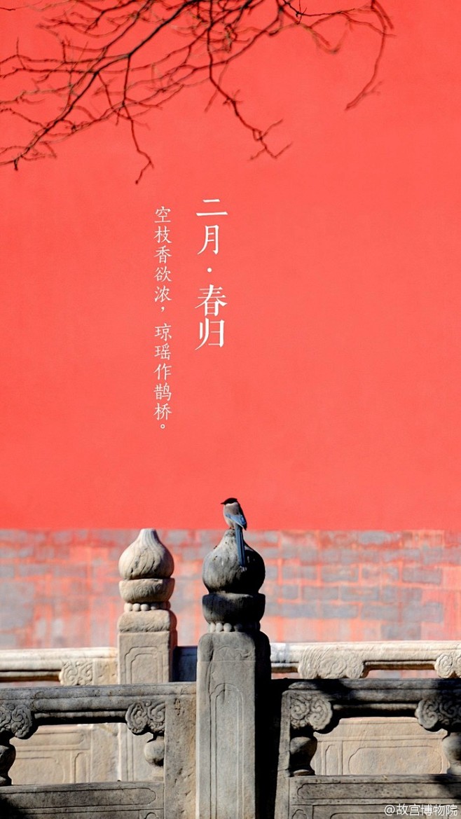 紫禁城【二月•春归•生灵】“空枝香欲浓，...