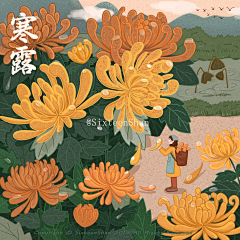 邮寄v采集到24节气