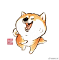 #阿柴狗杞# 冬天到了，枸杞前来送温暖！#柴犬# 要抱抱要摸摸要毛茸茸小伙伴们记得分享温暖嗷 ​​​​