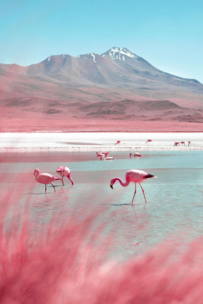 Behance 作品精选 : 今日的管理...