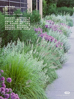 上海五天景观（雕塑）采集到植物 花镜 私家花园