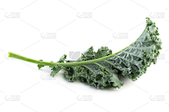 花瓣素材-植物图片采集到树木草地