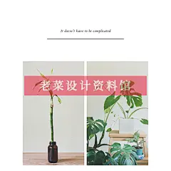 时尚小清新INS旅游民宿绿植龟背叶PSD海报BANNER主图UI设计H5素材-淘宝网