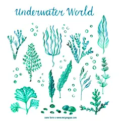 海底植物水草矢量元素Seabed plant water and grass
