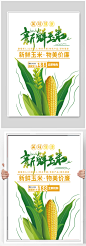 新鲜玉米宣传海报