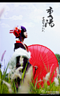 offer腐玉