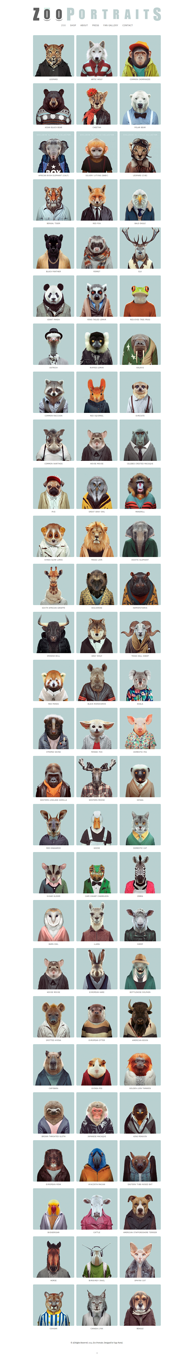 Zoo Portraits by Yag...