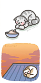 一组由韩国画师ccho_nyang设计制作的超可爱的猫咪插画，这个画风真的太讨人喜欢了！头像壁纸换起来！

(ins:ccho_nyang) ​​​​