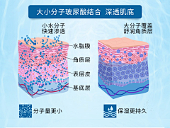 篱卿采集到皮肤示意图