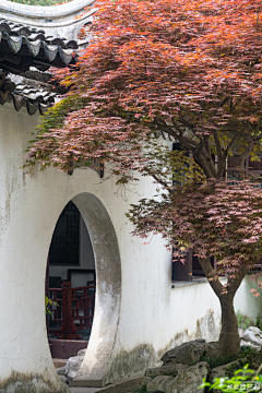 画白--采集到古风场景