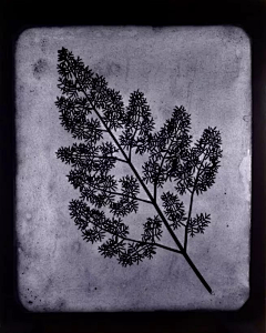 SolaSisyphe采集到Hiroshi Sugimoto
