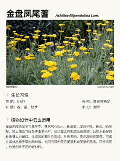 植物集采集到中层植物