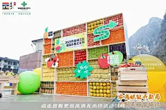 2023年金城江区首届水果文化节暨元宵节供销大集系列活动_文化节图集-活动汪，更多高清无水印照片请关注@活动汪