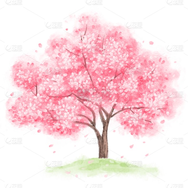 插画手绘樱花树免抠元素