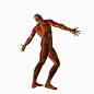 pose_01 (72)